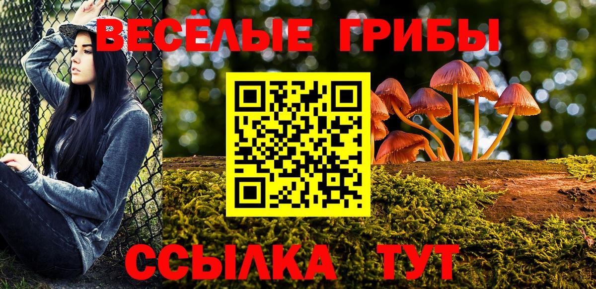 Галлюциногенные грибы Cubensis  Вход с VPN  Ростов Великий 